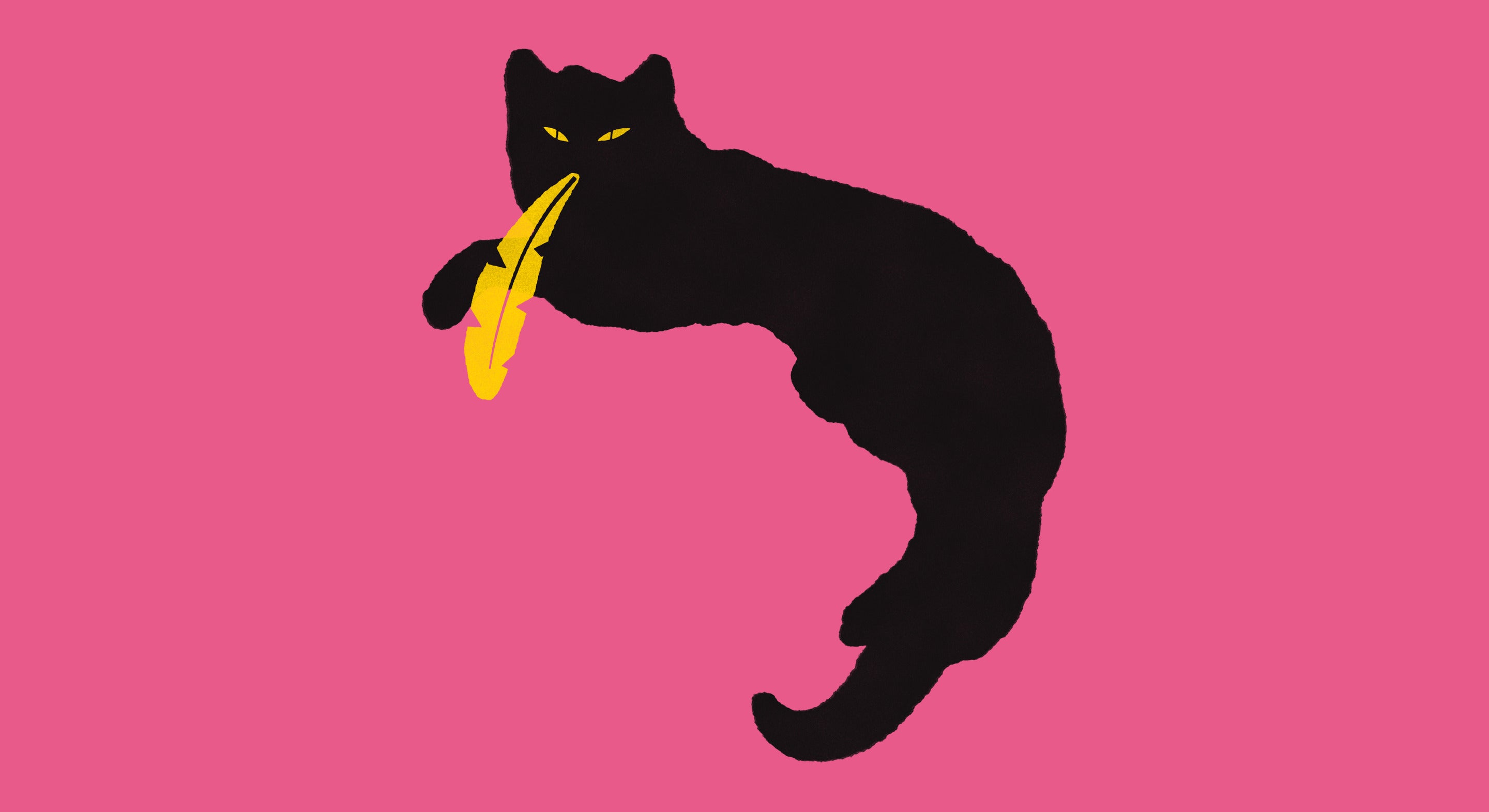 The house's black cat lying on hot pink, a yellow feather in its mouth