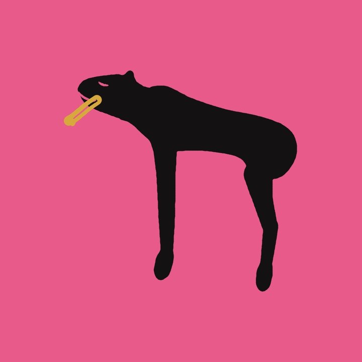 A black dog on hot pink