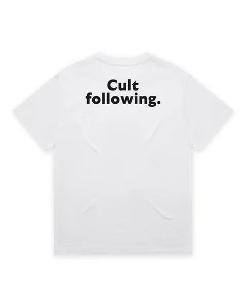 Cancelled after one season. / Cult following.